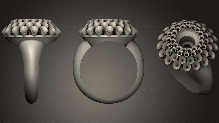 Ювелирные перстни и кольца (Глобальное потепление, JVLRP_0375) 3D модель для ЧПУ станка